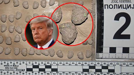 ZAPLENA TRAMP DROGA TABLETE ZAPLENA TRAMP DROGA TABLETE