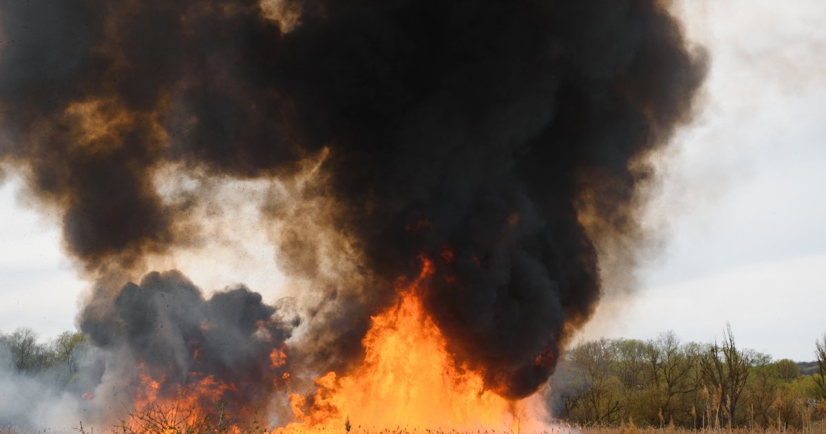 Drama kod Novog Sada! Vatrena stihija zahvatila poznato naselje, stigli vatrogasci