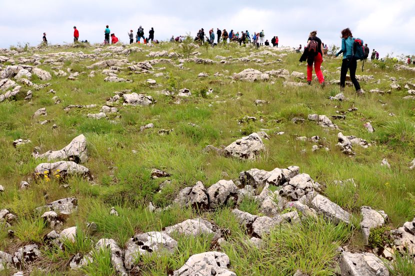 2020-06-13-kucaj-velika-krsijora1-830x0.jpg