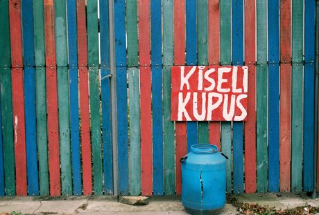 Tošin bunar, kiseli kupus Tošin bunar, kiseli kupus