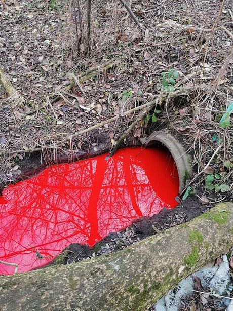 Veliki bački kanal, Srbobran, pesticidi Veliki bački kanal, Srbobran, pesticidi