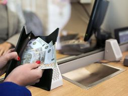 Banka, šalter, novčanik, menjačnica, novac, dinari