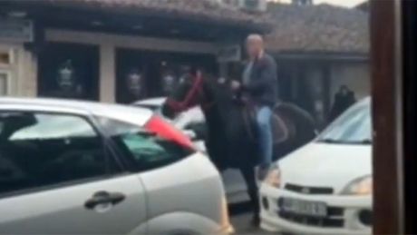 Konj, Novi Pazar