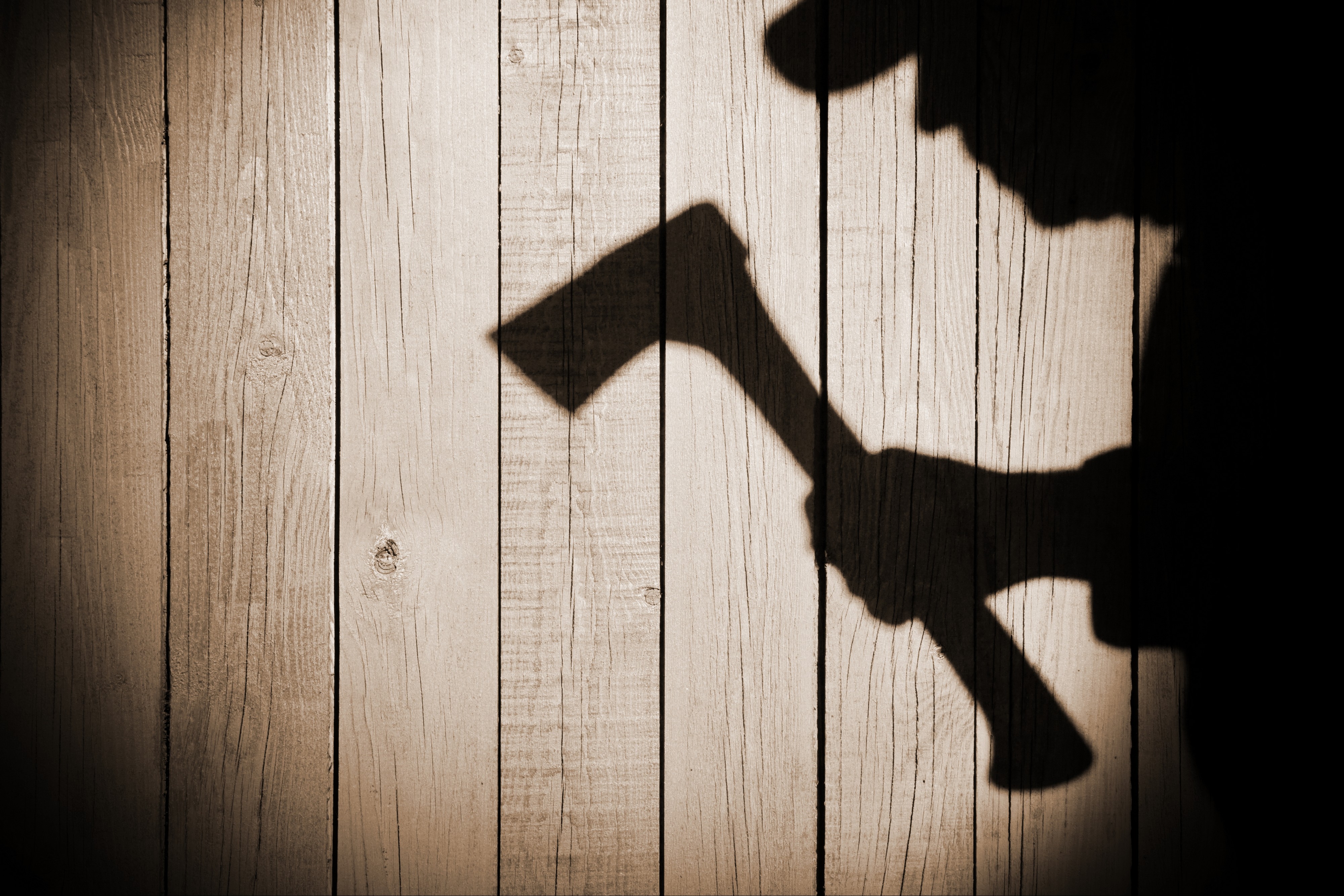 Velika akcija Evropola: Uhapšeno 10 pripadnika kriminalne organizacije "Crna sekira"!