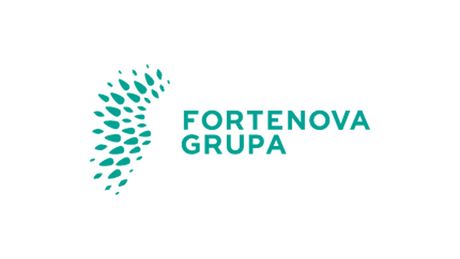 Fortenova grupa, Fortenova Group