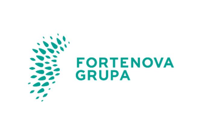 Fortenova grupa, Fortenova Group