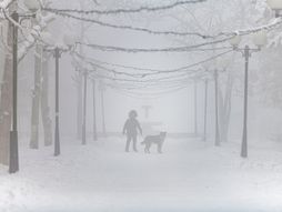 Yakutsk, Jakutsk, Rusija, Jakutija