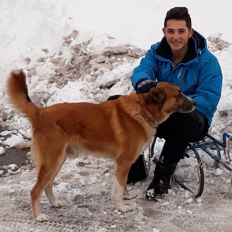 Uroš Dragićević Uroš Dragićević