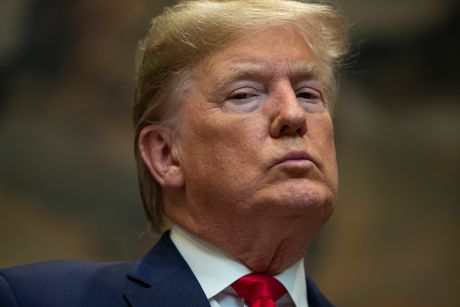 Donald Trump Tramp Donald Trump Tramp