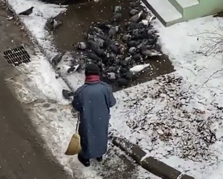 Golubovi Golubovi