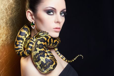 Opasna žena, zmija Opasna žena, zmija