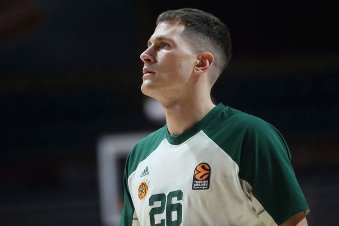 nemanja nedović nemanja nedović