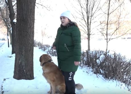 Nova Varoš, psi litalice Mladena Brajović Nova Varoš, psi litalice Mladena Brajović