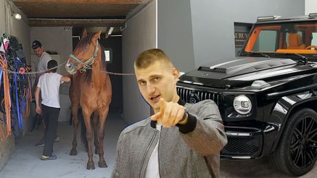 Nikola Jokić konji i kola