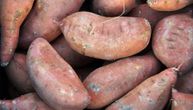 Brašno od batata je novi hit među ženama koje paze na ishranu: Ima više vlakana i prirodnu slatkoću