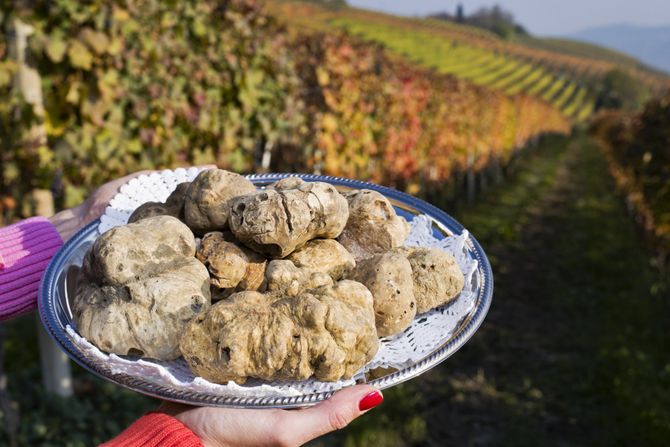 Kavijar, ostrige, španska šunka, tartufi Kavijar, ostrige, španska šunka, tartufi