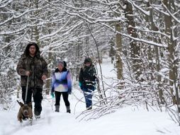 Sneg zima šetnja pas vreme