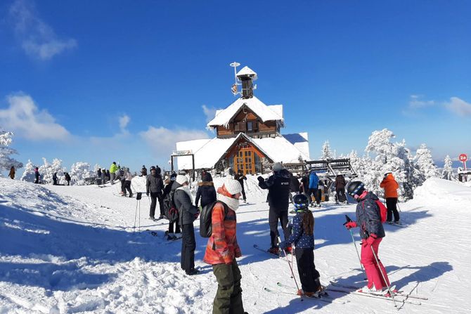 Zlatibor Tornik