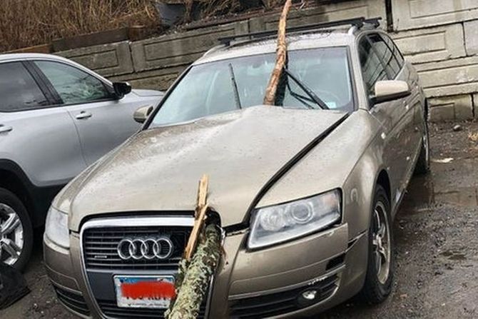 Audi, grana Audi, grana