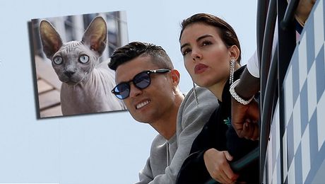 Kristijano Ronaldo, Cristiano Ronaldo, Giorgina Rodriguez, Georgina Rodrigez mačka