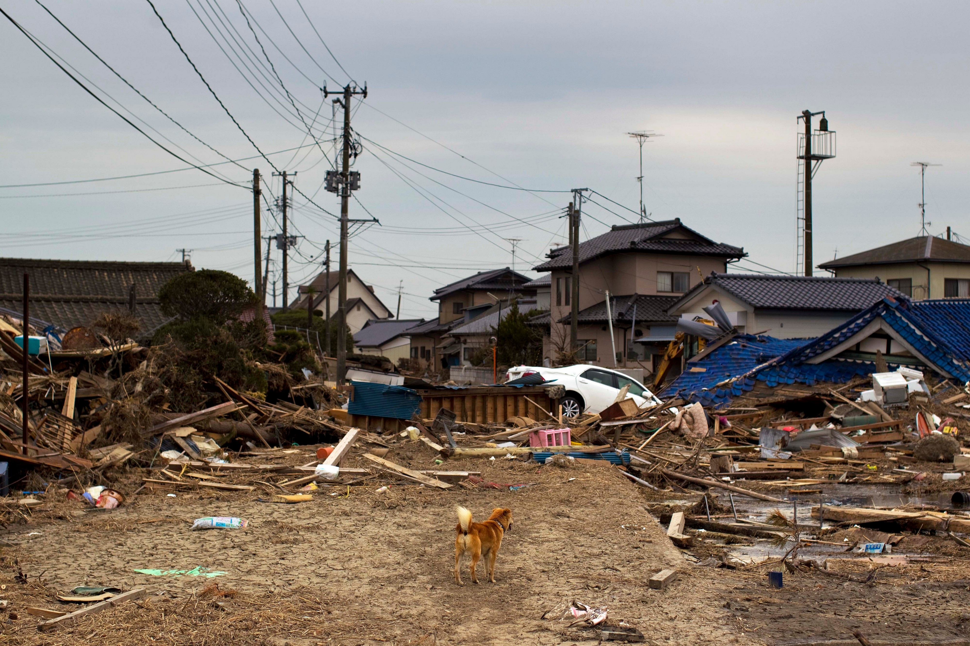 JAPAN SE "POMERIO"! Otkriven neobičan efekat zemljotresa koji je izazvao cunami i katastrofu u Fukušimi