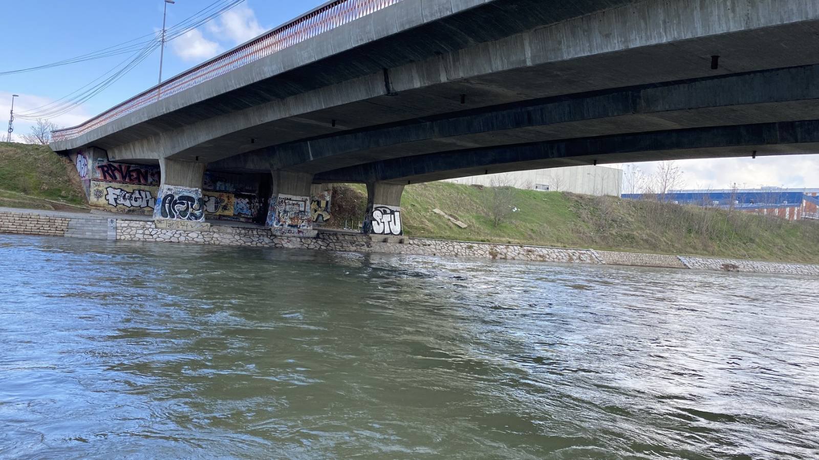 Naučnici u šoku: Na obali Nišave pronađeno biće za koje niko nije verovao da živi u Srbiji