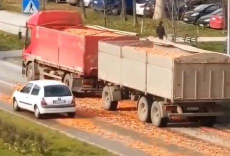 Šargarepa Šargarepa