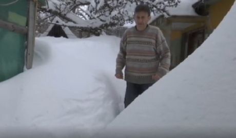 Raša Veličković Raša Veličković