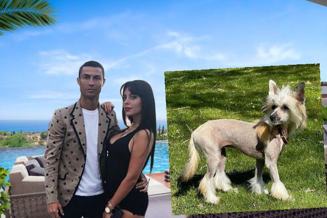 Ronaldo ker Ronaldo ker