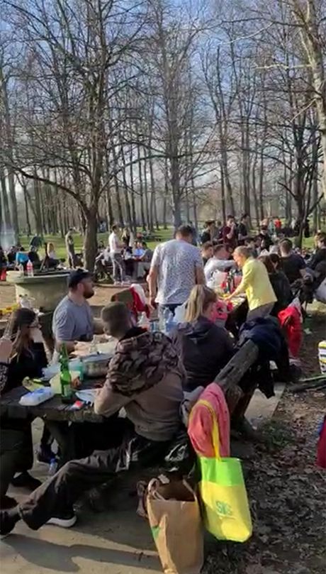 Beograđani luduju na Adi, Beograd Ada Beograđani luduju na Adi, Beograd Ada