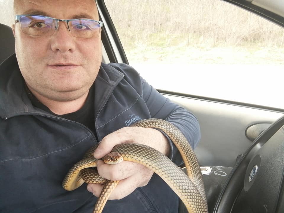 "Zato se kaže pije kao smuk": Evo gde je poznati zmijolovac Vladica pronašao ljutu guju