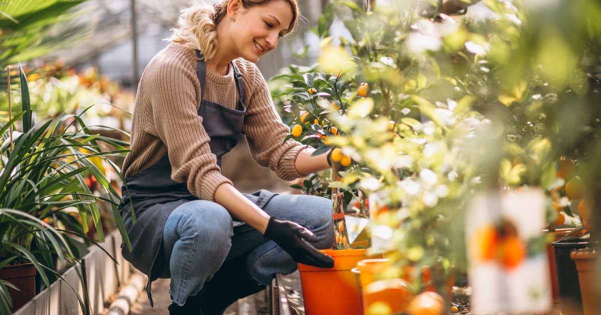 KAZNE DO 50.000 EVRA! Ako ovo radite za Uskrs u Nemačkoj - PAPRENO ĆETE PLATITI!