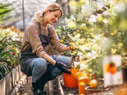 baštovan, bašta, žena, biljke, cveće