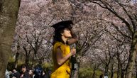 Evo kada će cvetanje trešanja u Japanu biti u punom jeku