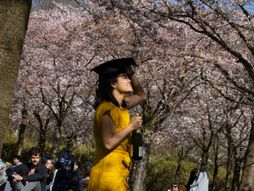 Cvetanje japanske trešnje