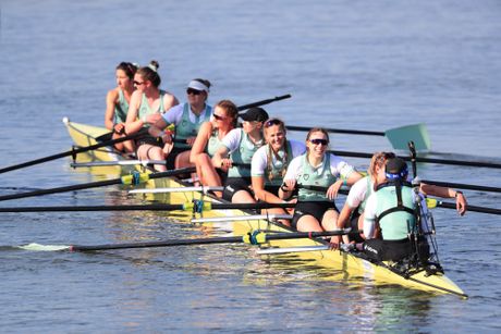 Veslanje, veslačka regata , Oksford Kembridž