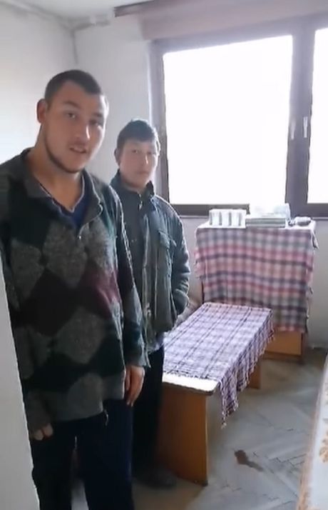 Stefan i Nikola Nikolić, Blace Stefan i Nikola Nikolić, Blace