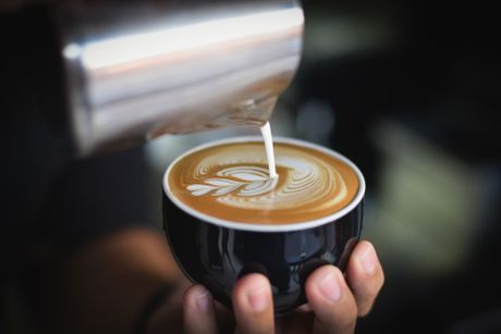 kafa kafa