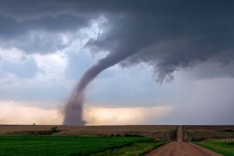 Pijavica tornado