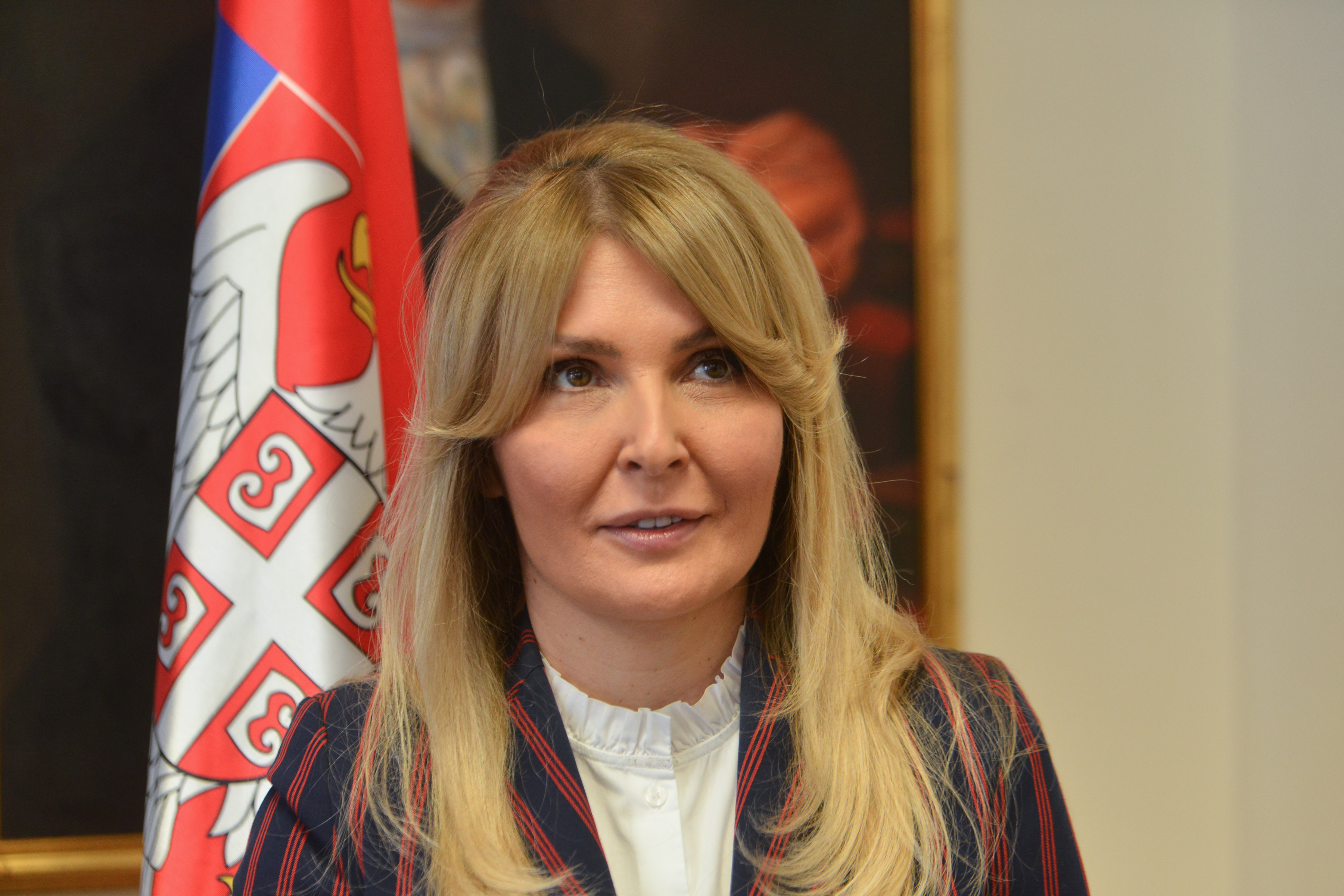 Grujić: Uložićemo 110 miliona evra da škole dobiju centre za dualno obrazovanje