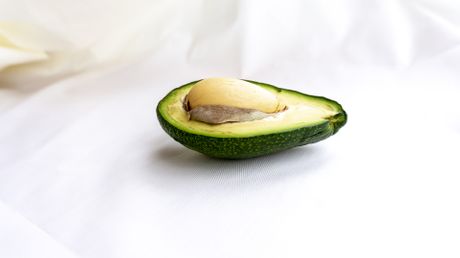 avokado avokado