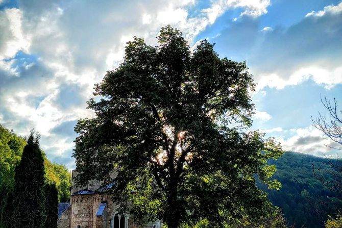 Manastir Gradac , zmija