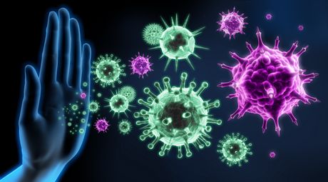 Ljudsko telo virus virusi bolest korona virus