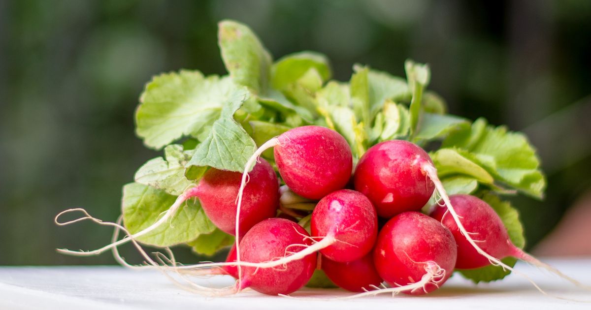 Rotkvice vam uvek uvenu za dva dana? Jedan potez pre frižidera pravi ogromnu razliku
