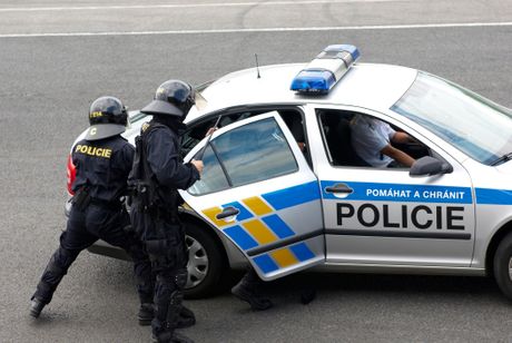 Češka policija