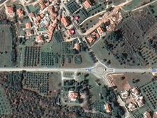 Maslinjak Istra Josip Broz Tito