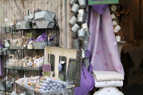 Lavanda u Provansi, Francuska Lavanda u Provansi, Francuska