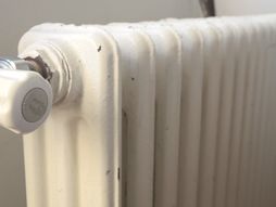 Radijatori bez vode, Čačak