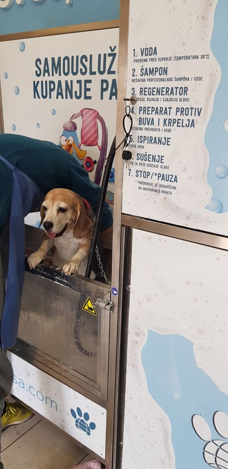 Samouslužno kupanje pasa Samouslužno kupanje pasa