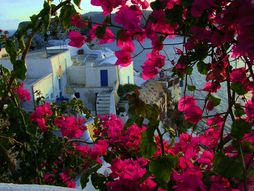 Ostrvo Santorini, Grčka